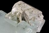 Gemmy Aquamarine Crystal With Muscovite - Baltistan, Pakistan #93473-2